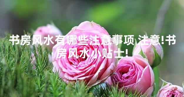书房风水有哪些注意事项 注意!书房风水小贴士!